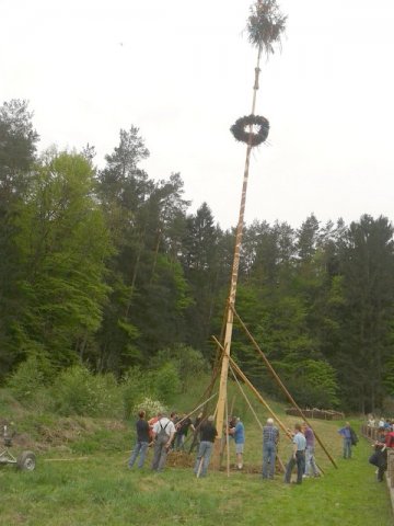 Maibaum2013